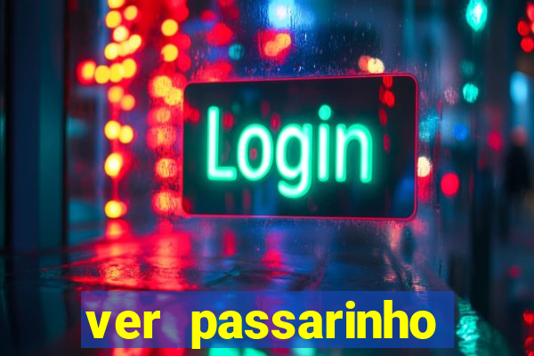 ver passarinho morto significado