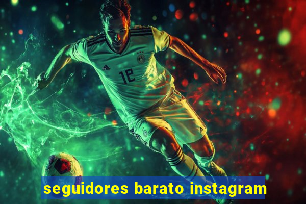 seguidores barato instagram