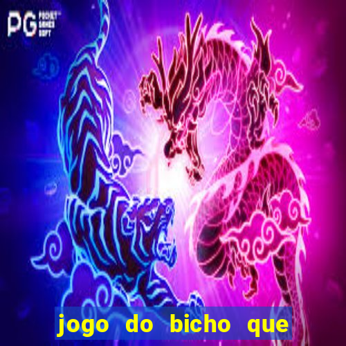 jogo do bicho que paga no pix