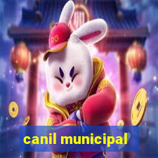 canil municipal