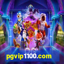 pgvip1100.com