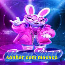 sonhar com macaco