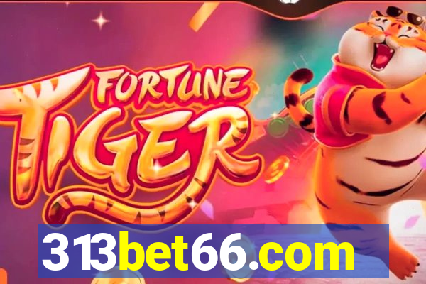 313bet66.com