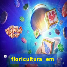 floricultura em franca sp
