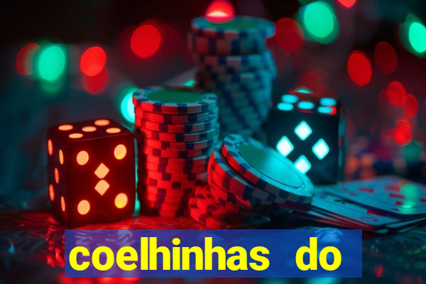 coelhinhas do brasil recife