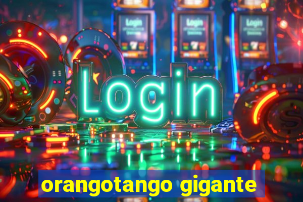 orangotango gigante