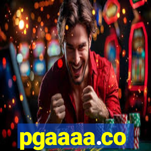 pgaaaa.co