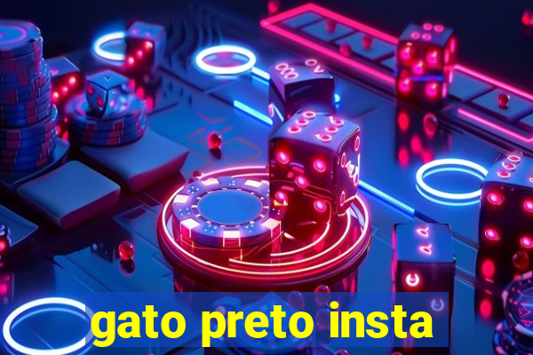 gato preto insta