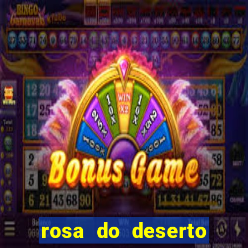 rosa do deserto lilac frost